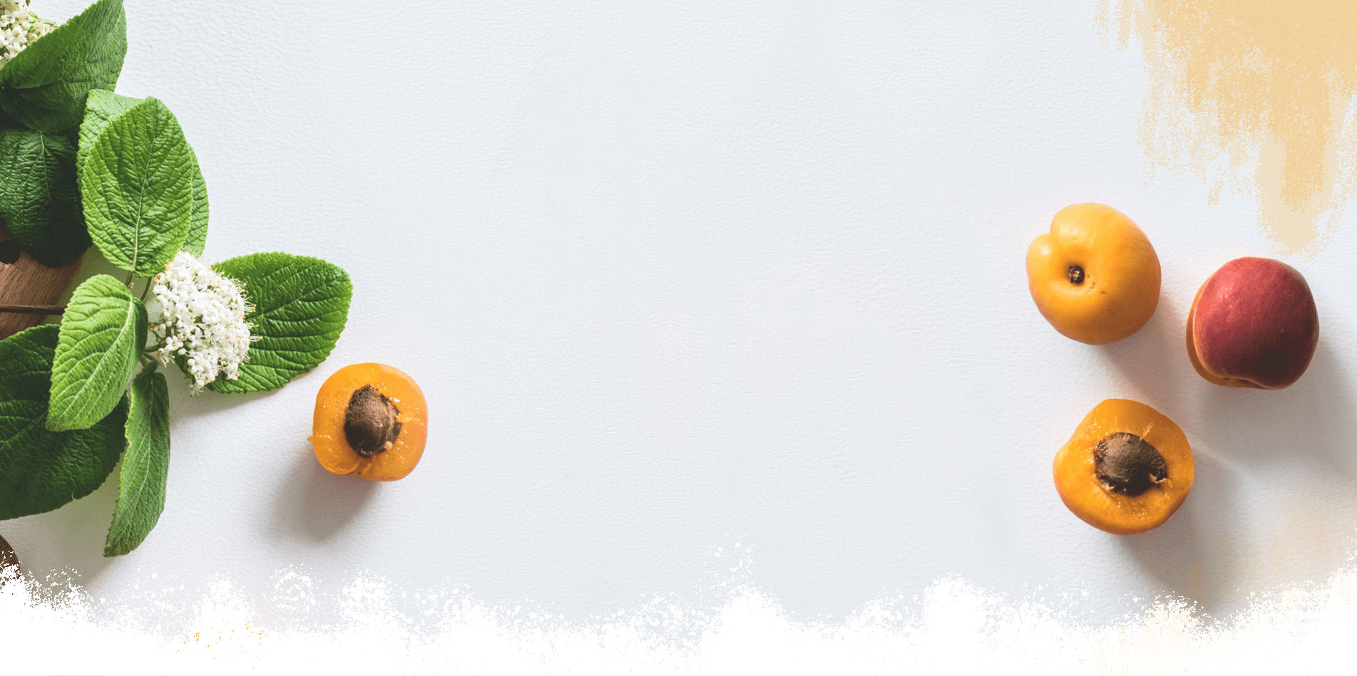 Eat clean and green. Eat Organic 